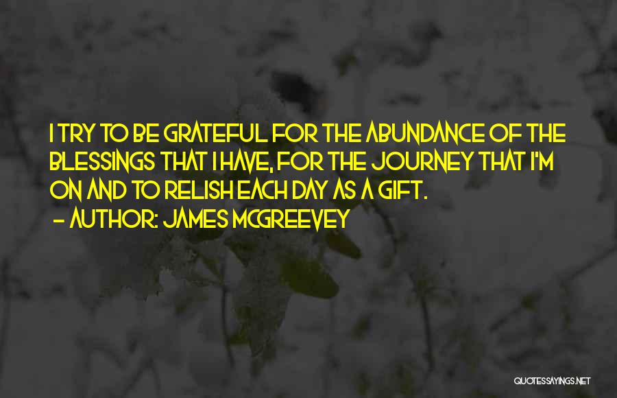 James McGreevey Quotes: I Try To Be Grateful For The Abundance Of The Blessings That I Have, For The Journey That I'm On