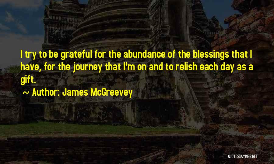 James McGreevey Quotes: I Try To Be Grateful For The Abundance Of The Blessings That I Have, For The Journey That I'm On