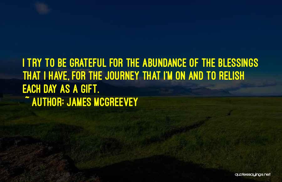 James McGreevey Quotes: I Try To Be Grateful For The Abundance Of The Blessings That I Have, For The Journey That I'm On