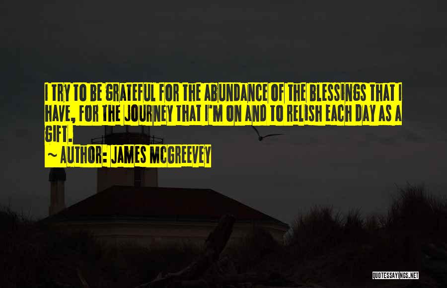 James McGreevey Quotes: I Try To Be Grateful For The Abundance Of The Blessings That I Have, For The Journey That I'm On