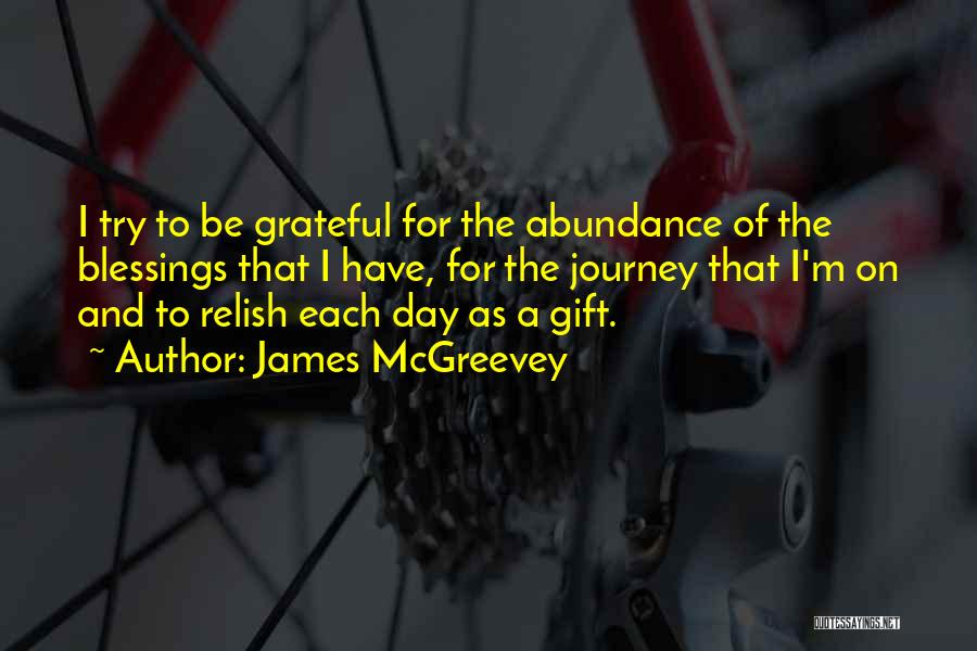 James McGreevey Quotes: I Try To Be Grateful For The Abundance Of The Blessings That I Have, For The Journey That I'm On