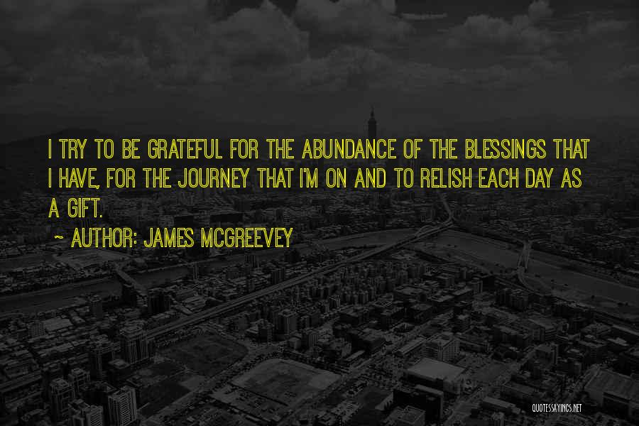 James McGreevey Quotes: I Try To Be Grateful For The Abundance Of The Blessings That I Have, For The Journey That I'm On