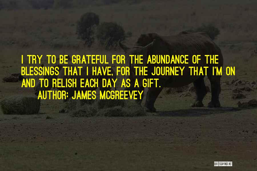 James McGreevey Quotes: I Try To Be Grateful For The Abundance Of The Blessings That I Have, For The Journey That I'm On