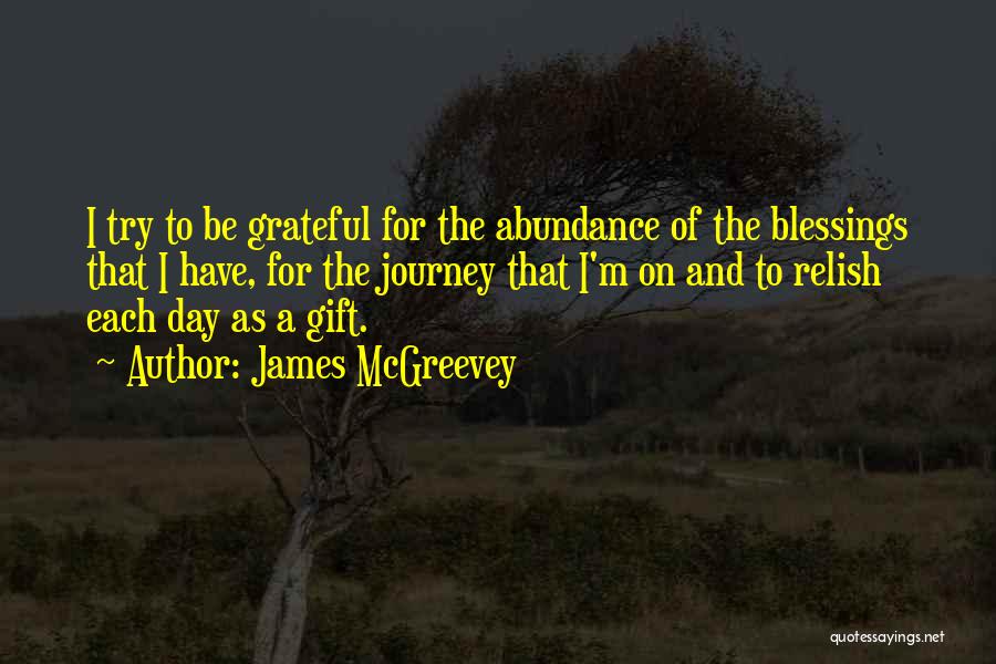 James McGreevey Quotes: I Try To Be Grateful For The Abundance Of The Blessings That I Have, For The Journey That I'm On