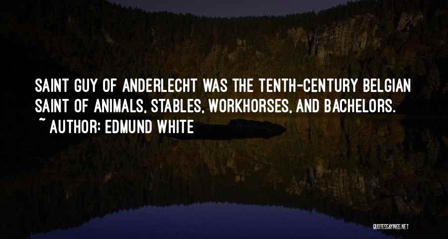 Edmund White Quotes: Saint Guy Of Anderlecht Was The Tenth-century Belgian Saint Of Animals, Stables, Workhorses, And Bachelors.