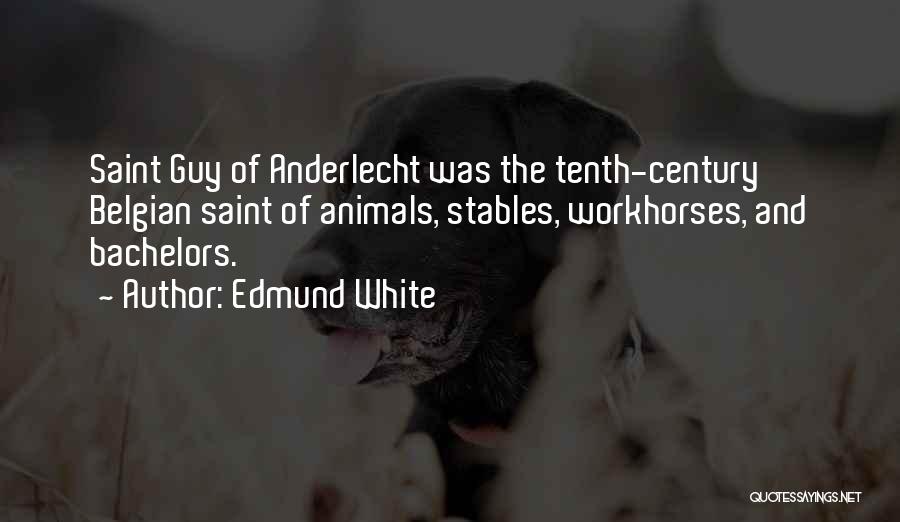 Edmund White Quotes: Saint Guy Of Anderlecht Was The Tenth-century Belgian Saint Of Animals, Stables, Workhorses, And Bachelors.