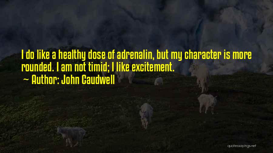 John Caudwell Quotes: I Do Like A Healthy Dose Of Adrenalin, But My Character Is More Rounded. I Am Not Timid; I Like