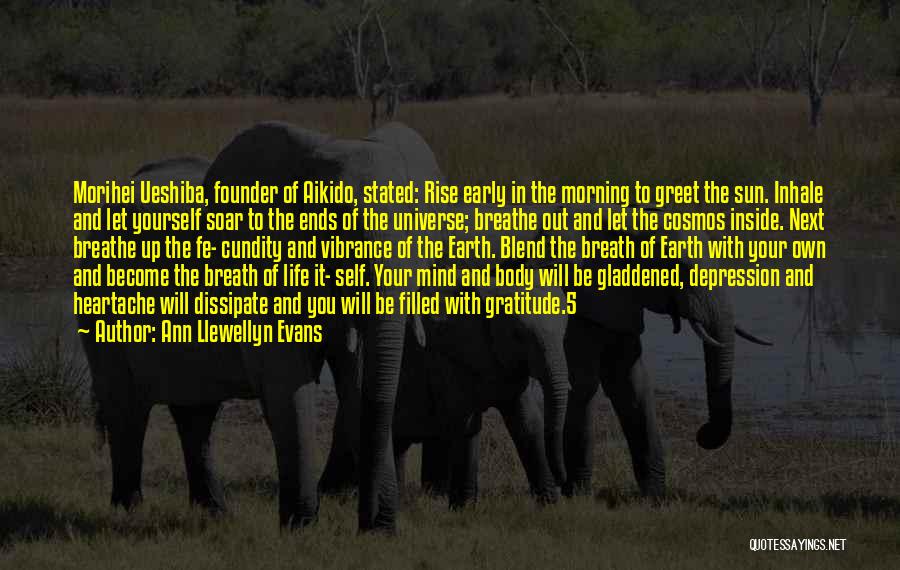 Ann Llewellyn Evans Quotes: Morihei Ueshiba, Founder Of Aikido, Stated: Rise Early In The Morning To Greet The Sun. Inhale And Let Yourself Soar