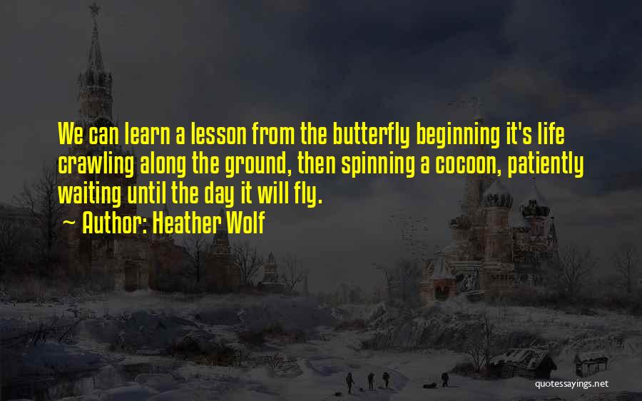 Heather Wolf Quotes: We Can Learn A Lesson From The Butterfly Beginning It's Life Crawling Along The Ground, Then Spinning A Cocoon, Patiently