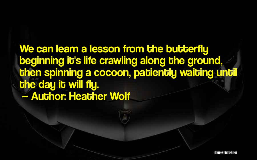 Heather Wolf Quotes: We Can Learn A Lesson From The Butterfly Beginning It's Life Crawling Along The Ground, Then Spinning A Cocoon, Patiently