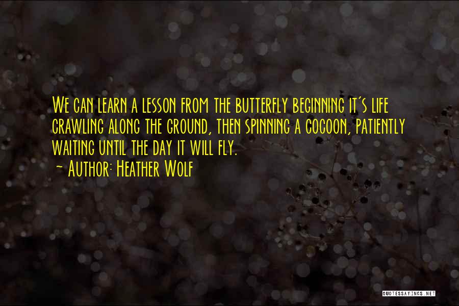 Heather Wolf Quotes: We Can Learn A Lesson From The Butterfly Beginning It's Life Crawling Along The Ground, Then Spinning A Cocoon, Patiently