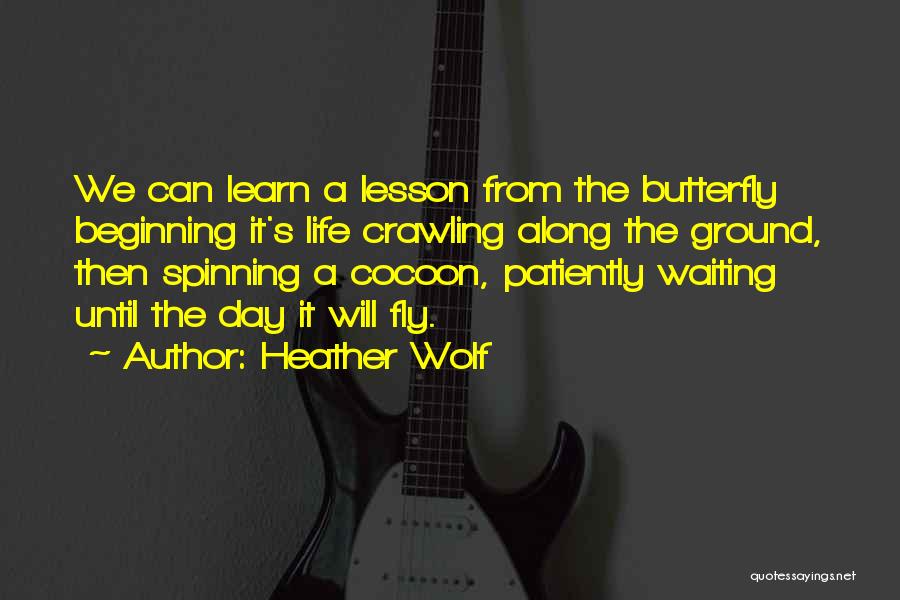 Heather Wolf Quotes: We Can Learn A Lesson From The Butterfly Beginning It's Life Crawling Along The Ground, Then Spinning A Cocoon, Patiently