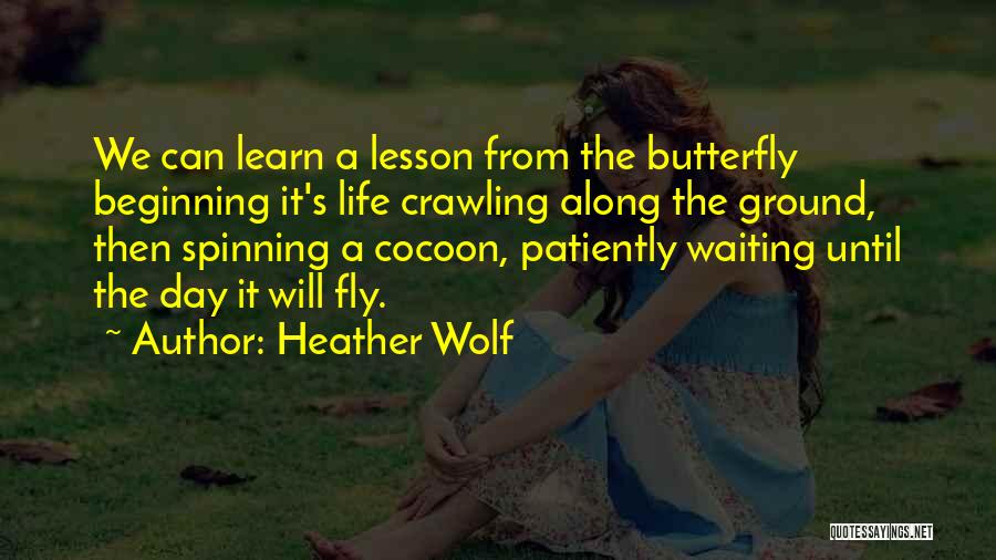 Heather Wolf Quotes: We Can Learn A Lesson From The Butterfly Beginning It's Life Crawling Along The Ground, Then Spinning A Cocoon, Patiently