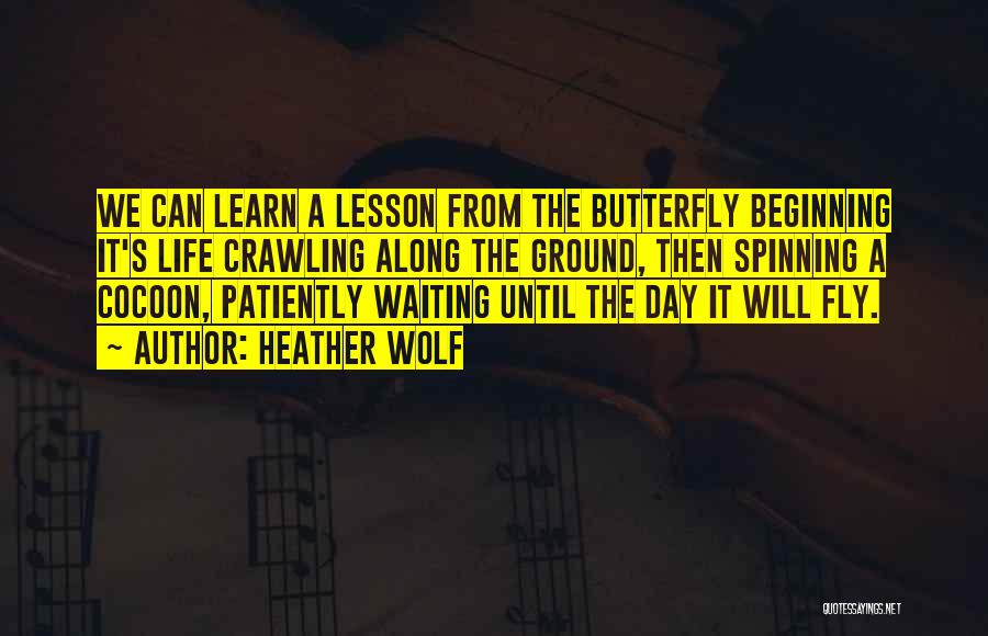 Heather Wolf Quotes: We Can Learn A Lesson From The Butterfly Beginning It's Life Crawling Along The Ground, Then Spinning A Cocoon, Patiently