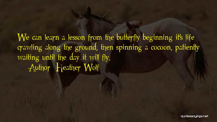 Heather Wolf Quotes: We Can Learn A Lesson From The Butterfly Beginning It's Life Crawling Along The Ground, Then Spinning A Cocoon, Patiently