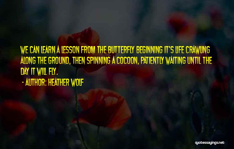 Heather Wolf Quotes: We Can Learn A Lesson From The Butterfly Beginning It's Life Crawling Along The Ground, Then Spinning A Cocoon, Patiently