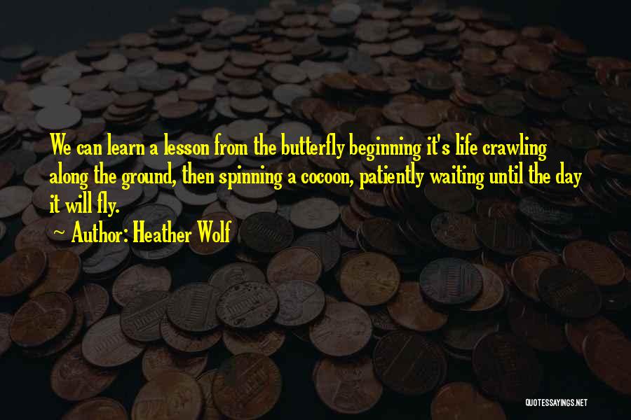 Heather Wolf Quotes: We Can Learn A Lesson From The Butterfly Beginning It's Life Crawling Along The Ground, Then Spinning A Cocoon, Patiently