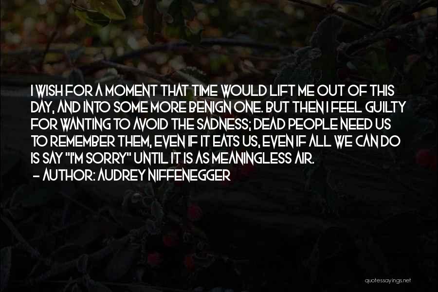 Audrey Niffenegger Quotes: I Wish For A Moment That Time Would Lift Me Out Of This Day, And Into Some More Benign One.