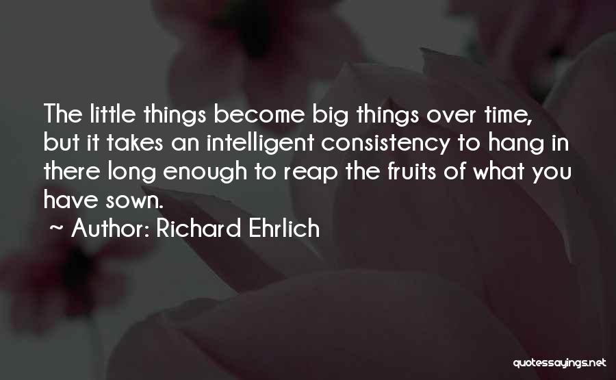 Richard Ehrlich Quotes: The Little Things Become Big Things Over Time, But It Takes An Intelligent Consistency To Hang In There Long Enough