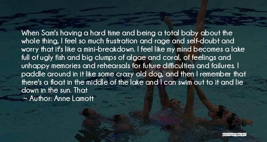 Anne Lamott Quotes: When Sam's Having A Hard Time And Being A Total Baby About The Whole Thing, I Feel So Much Frustration