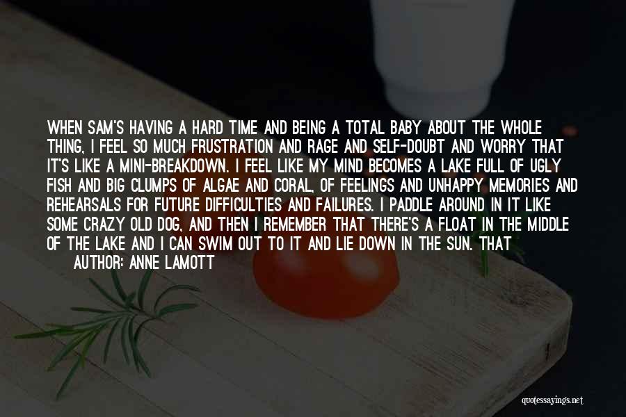 Anne Lamott Quotes: When Sam's Having A Hard Time And Being A Total Baby About The Whole Thing, I Feel So Much Frustration