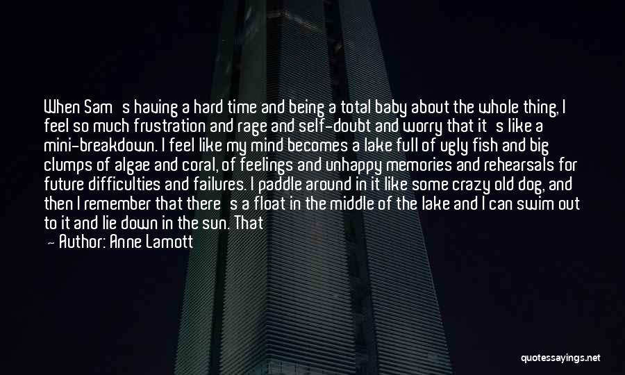 Anne Lamott Quotes: When Sam's Having A Hard Time And Being A Total Baby About The Whole Thing, I Feel So Much Frustration