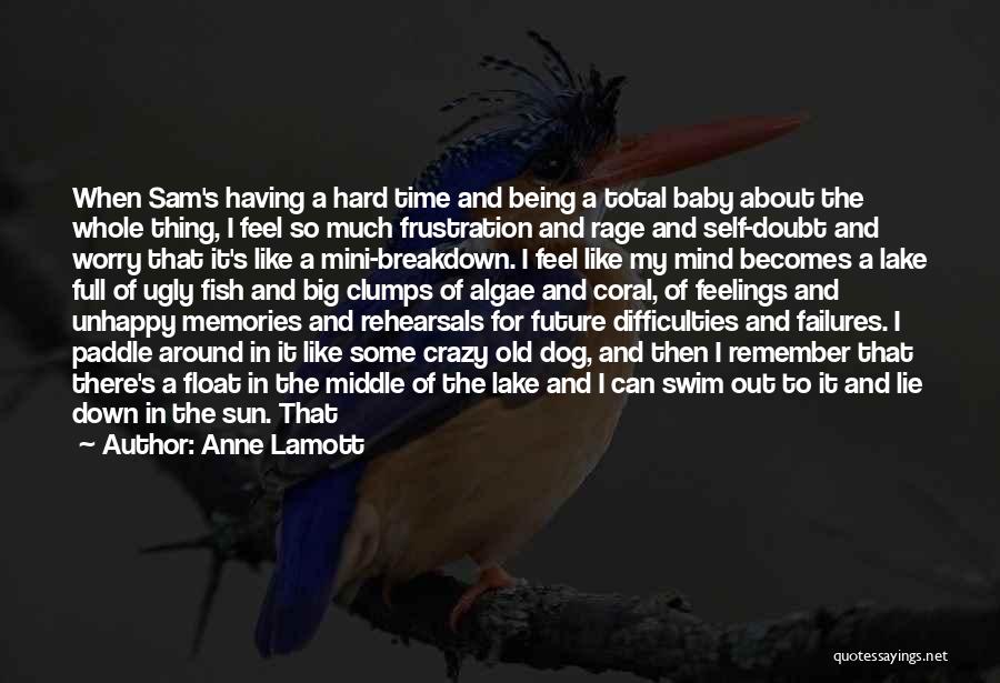 Anne Lamott Quotes: When Sam's Having A Hard Time And Being A Total Baby About The Whole Thing, I Feel So Much Frustration