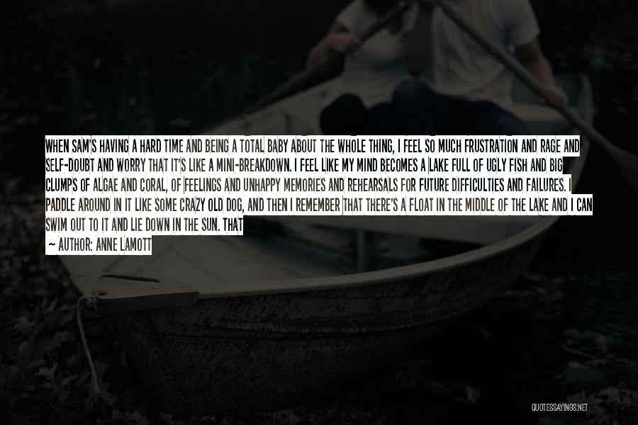Anne Lamott Quotes: When Sam's Having A Hard Time And Being A Total Baby About The Whole Thing, I Feel So Much Frustration