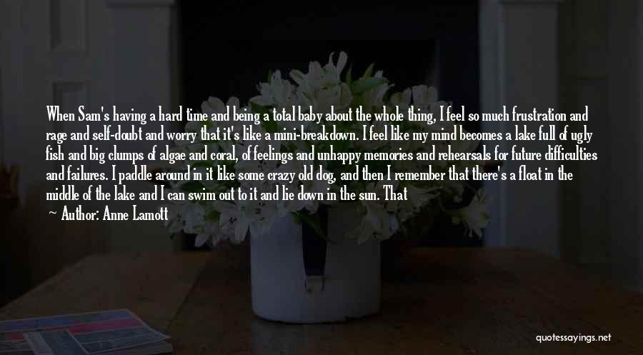 Anne Lamott Quotes: When Sam's Having A Hard Time And Being A Total Baby About The Whole Thing, I Feel So Much Frustration