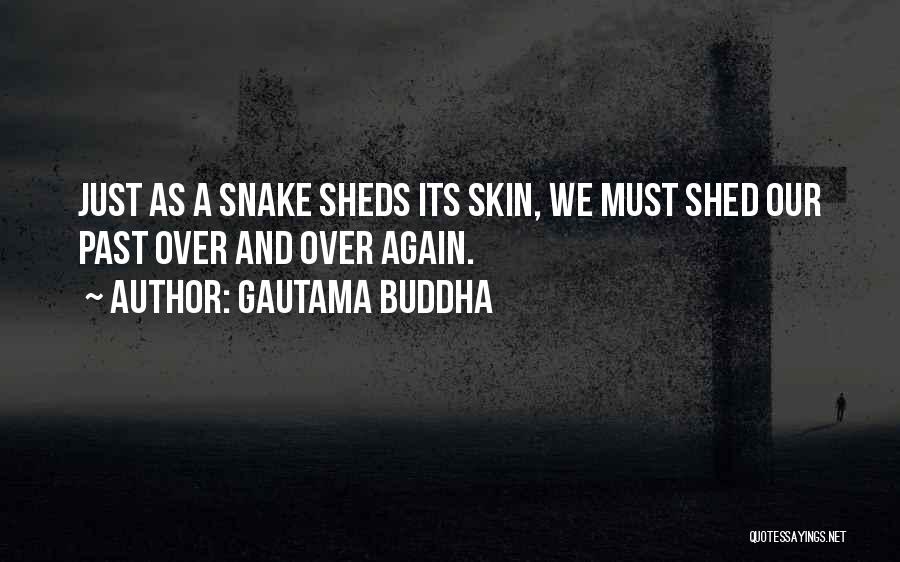 Gautama Buddha Quotes: Just As A Snake Sheds Its Skin, We Must Shed Our Past Over And Over Again.