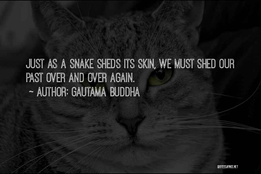 Gautama Buddha Quotes: Just As A Snake Sheds Its Skin, We Must Shed Our Past Over And Over Again.