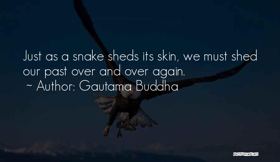 Gautama Buddha Quotes: Just As A Snake Sheds Its Skin, We Must Shed Our Past Over And Over Again.