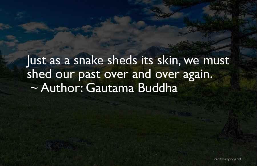 Gautama Buddha Quotes: Just As A Snake Sheds Its Skin, We Must Shed Our Past Over And Over Again.