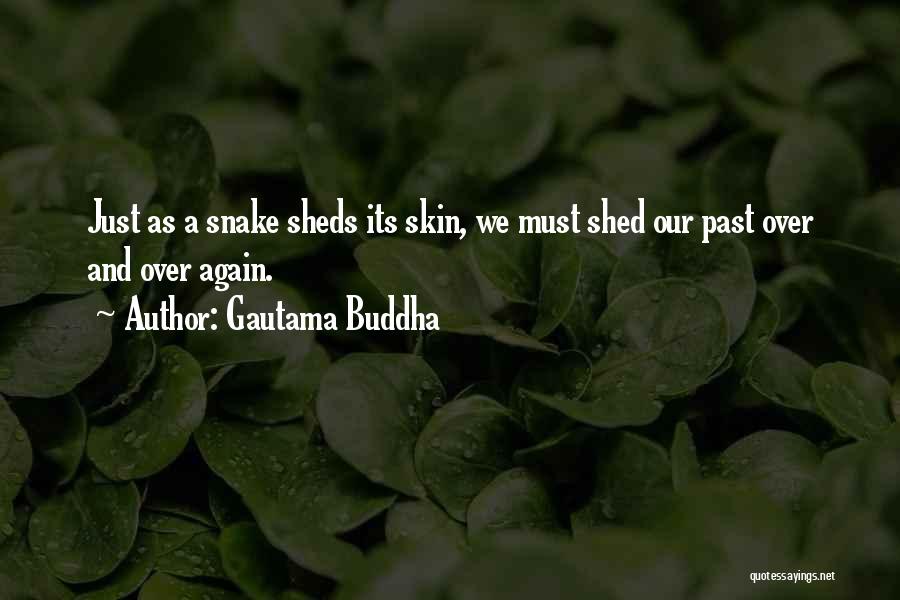 Gautama Buddha Quotes: Just As A Snake Sheds Its Skin, We Must Shed Our Past Over And Over Again.