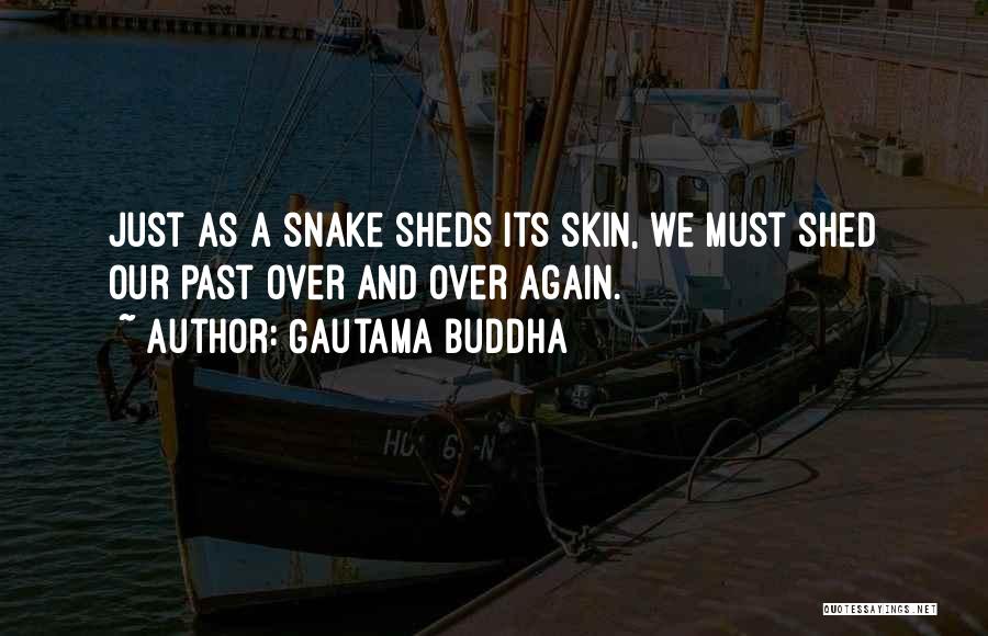 Gautama Buddha Quotes: Just As A Snake Sheds Its Skin, We Must Shed Our Past Over And Over Again.