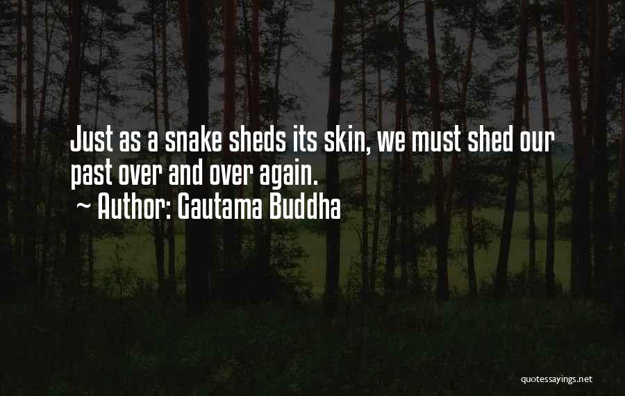 Gautama Buddha Quotes: Just As A Snake Sheds Its Skin, We Must Shed Our Past Over And Over Again.