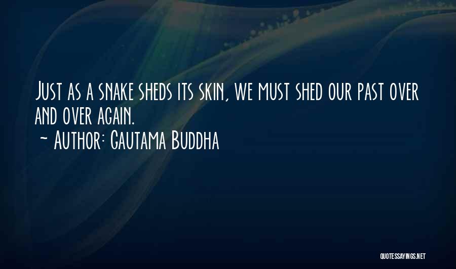Gautama Buddha Quotes: Just As A Snake Sheds Its Skin, We Must Shed Our Past Over And Over Again.