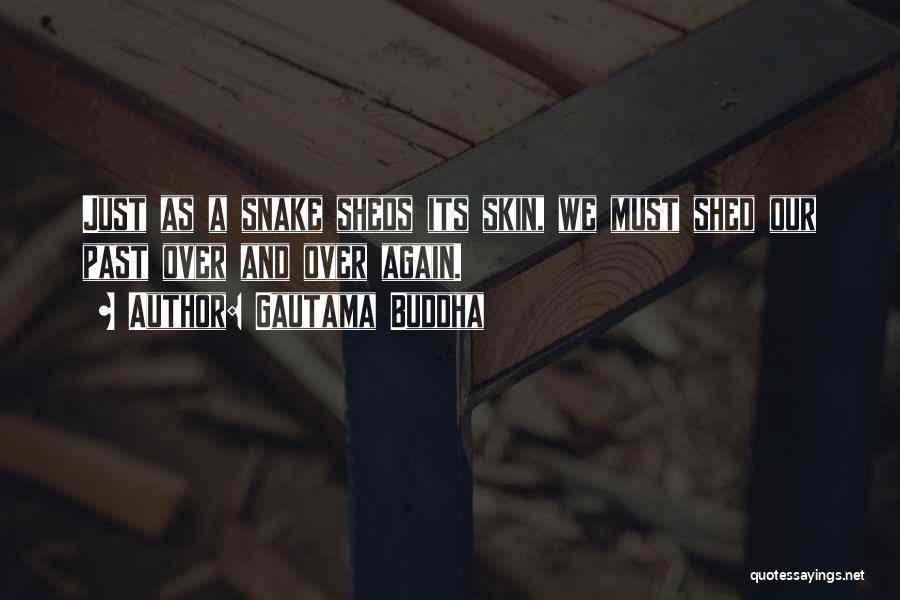 Gautama Buddha Quotes: Just As A Snake Sheds Its Skin, We Must Shed Our Past Over And Over Again.