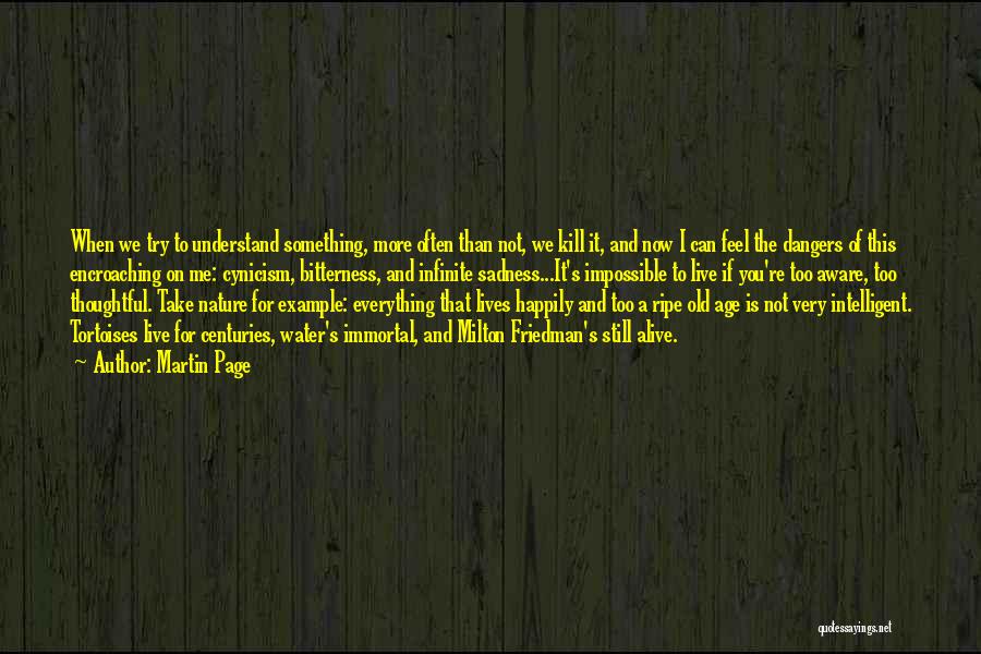 Martin Page Quotes: When We Try To Understand Something, More Often Than Not, We Kill It, And Now I Can Feel The Dangers