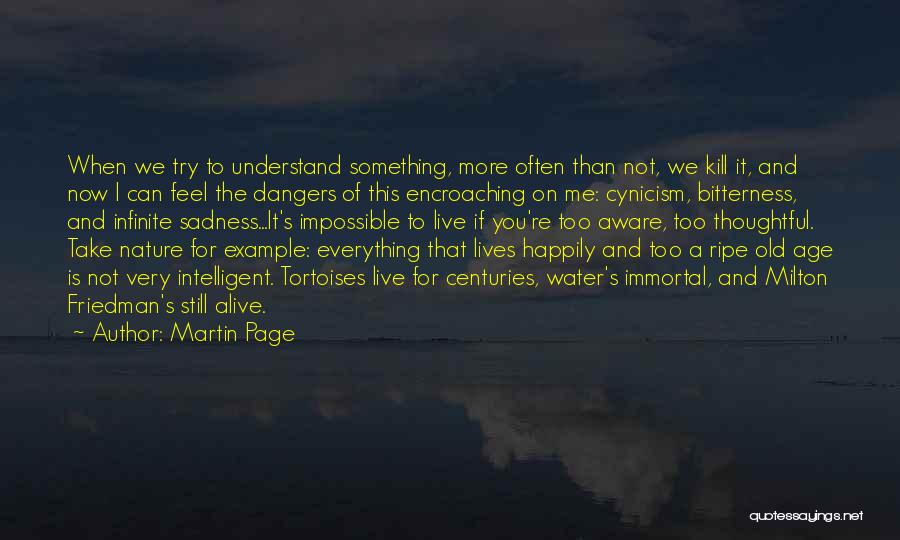 Martin Page Quotes: When We Try To Understand Something, More Often Than Not, We Kill It, And Now I Can Feel The Dangers