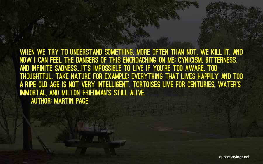 Martin Page Quotes: When We Try To Understand Something, More Often Than Not, We Kill It, And Now I Can Feel The Dangers