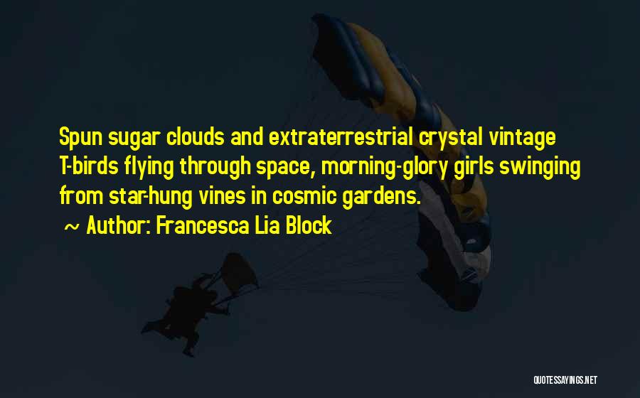 Francesca Lia Block Quotes: Spun Sugar Clouds And Extraterrestrial Crystal Vintage T-birds Flying Through Space, Morning-glory Girls Swinging From Star-hung Vines In Cosmic Gardens.