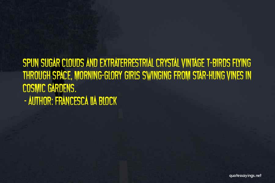 Francesca Lia Block Quotes: Spun Sugar Clouds And Extraterrestrial Crystal Vintage T-birds Flying Through Space, Morning-glory Girls Swinging From Star-hung Vines In Cosmic Gardens.