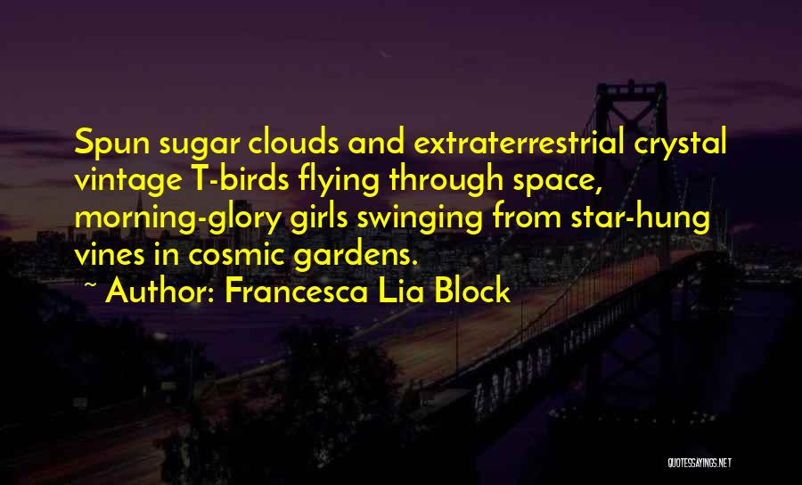 Francesca Lia Block Quotes: Spun Sugar Clouds And Extraterrestrial Crystal Vintage T-birds Flying Through Space, Morning-glory Girls Swinging From Star-hung Vines In Cosmic Gardens.