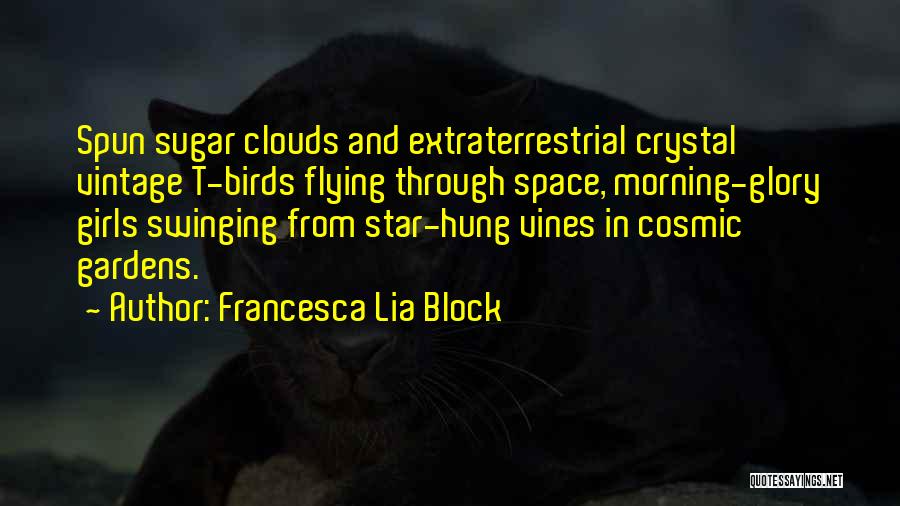 Francesca Lia Block Quotes: Spun Sugar Clouds And Extraterrestrial Crystal Vintage T-birds Flying Through Space, Morning-glory Girls Swinging From Star-hung Vines In Cosmic Gardens.