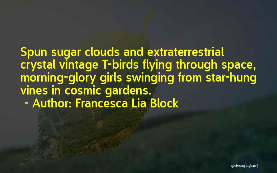 Francesca Lia Block Quotes: Spun Sugar Clouds And Extraterrestrial Crystal Vintage T-birds Flying Through Space, Morning-glory Girls Swinging From Star-hung Vines In Cosmic Gardens.