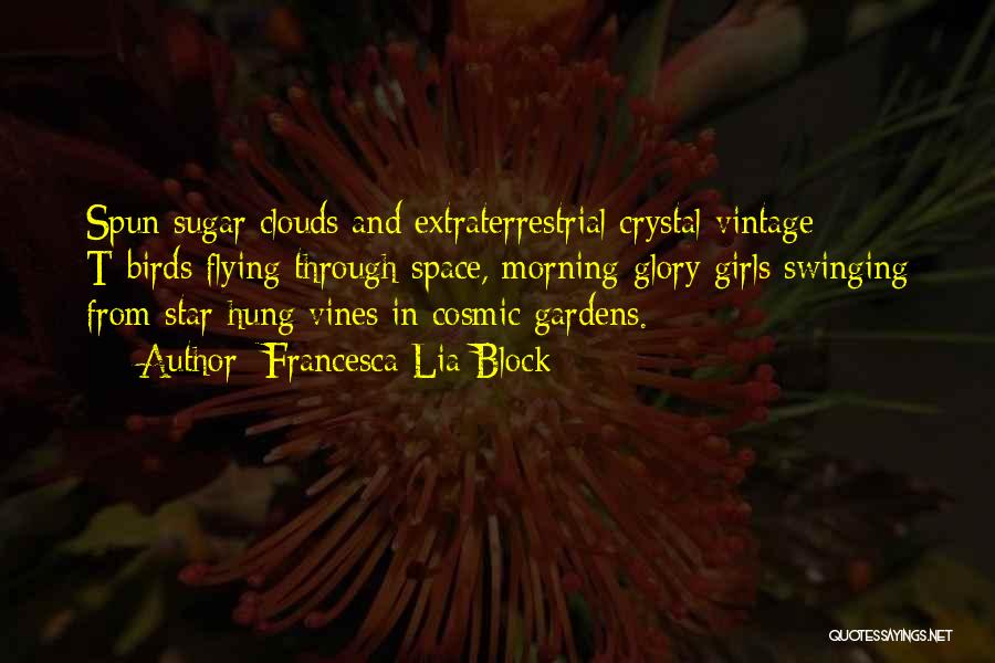 Francesca Lia Block Quotes: Spun Sugar Clouds And Extraterrestrial Crystal Vintage T-birds Flying Through Space, Morning-glory Girls Swinging From Star-hung Vines In Cosmic Gardens.