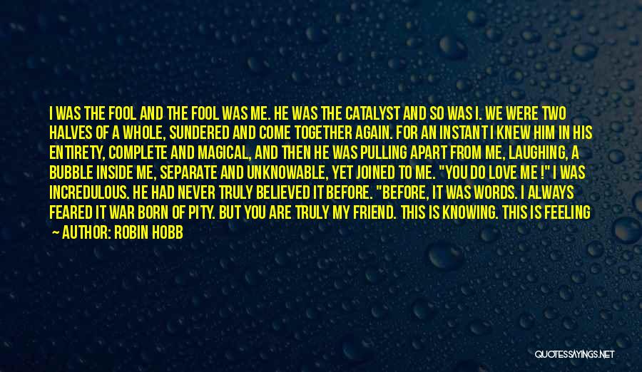 Robin Hobb Quotes: I Was The Fool And The Fool Was Me. He Was The Catalyst And So Was I. We Were Two