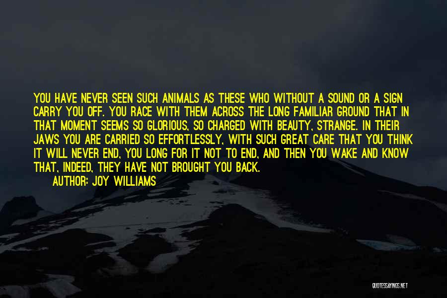 Joy Williams Quotes: You Have Never Seen Such Animals As These Who Without A Sound Or A Sign Carry You Off. You Race