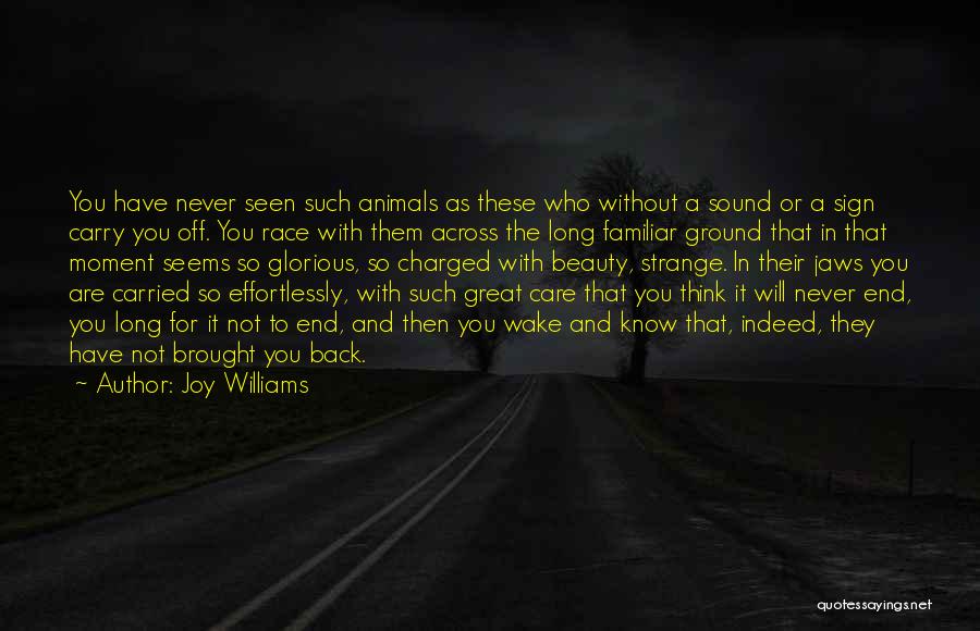Joy Williams Quotes: You Have Never Seen Such Animals As These Who Without A Sound Or A Sign Carry You Off. You Race